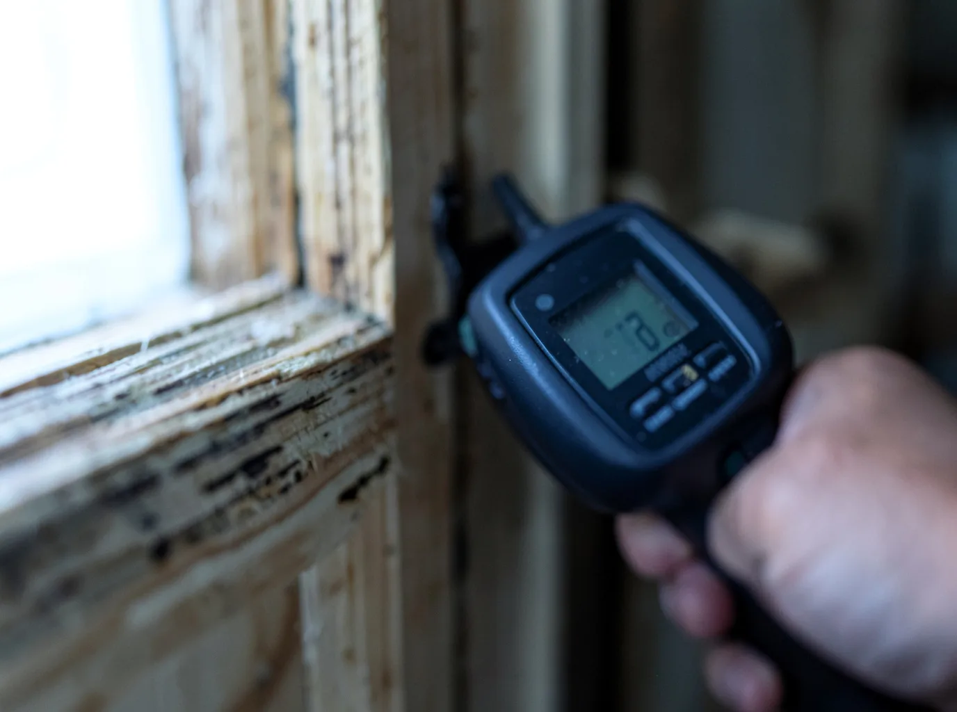 Moisture Inspection And Documentation in Iron River, MI
